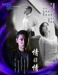 ​情非情电视剧剧情介绍（这部剧讲述的是什么故事）