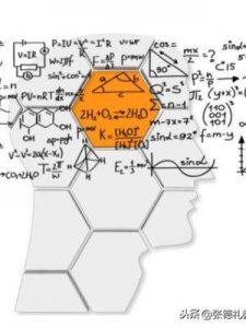 ​科学包括哪些科目(初中科学包括哪些科目)