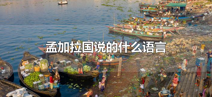 孟加拉国说的什么语言