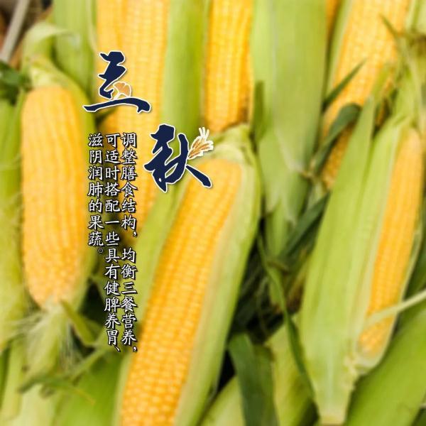 今日立秋的日历(提醒今日立秋)(9)