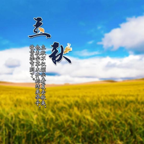 今日立秋的日历(提醒今日立秋)(5)