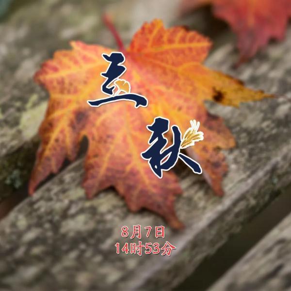 今日立秋的日历(提醒今日立秋)(1)