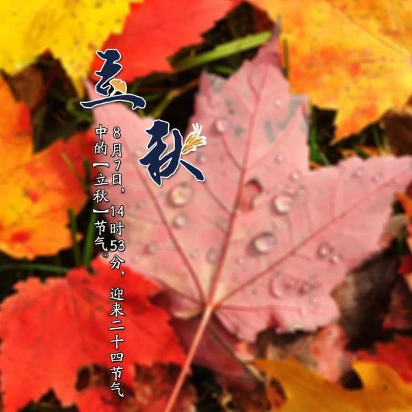 今日立秋的日历(提醒今日立秋)(2)