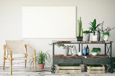​松叶菊什么时候开花