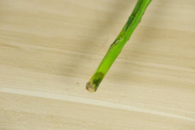 ​富贵竹多长才能放瓶中，瓶里能放石头吗
