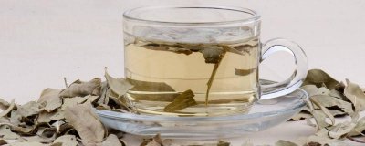 ​为啥千万别喝罗布麻茶 罗布麻茶能长期饮用吗