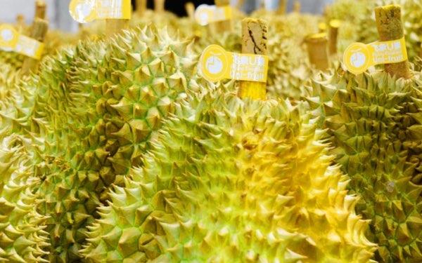 生活榴莲是一年四季都有吗 每个季节都能吃到  3
