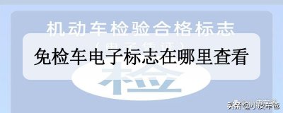 ​电子年检标志怎么查看（怎样申领年检合格标志）