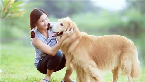 辞职了女朋友为什么会和我吵架