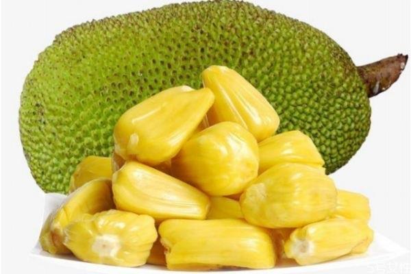 生活菠萝蜜果肉出水了还能吃吗 菠萝蜜果肉出水了是坏了吗  3