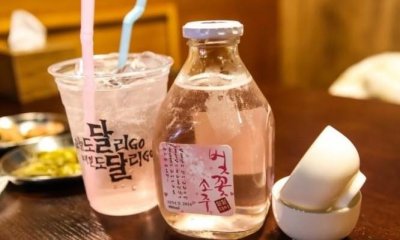 ​韩国烧酒哪个牌子好喝 韩剧里的烧酒哪个牌子