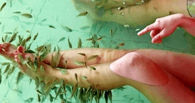 女子做鱼疗滑进水中, 被小鱼钻进秘密部位, 向店主索赔5万