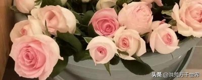 ​如何醒花最简单的办法（鲜花醒花怎么处理）