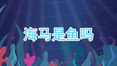 ​海马是鱼吗