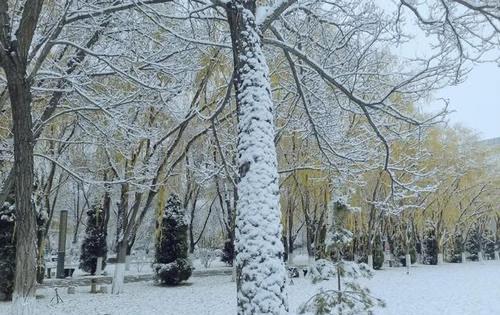 生活岁末将至敬颂冬绥什么意思  1