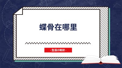 ​蝶骨在哪里