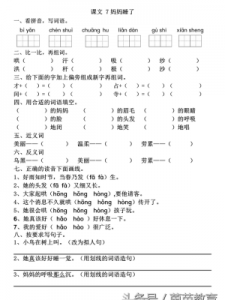 ​什么的眉毛(什么的眉毛合适的词语)