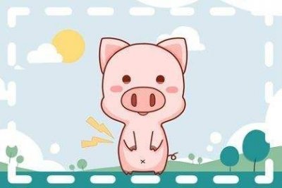 ​属猪人2023年全年运势及运程女(属猪人2023年全年运势及运程每月)