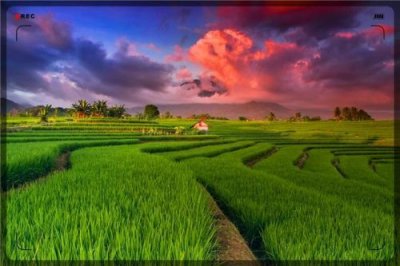 ​洗衣粉加盟办厂(洗衣粉加盟生产及销路)