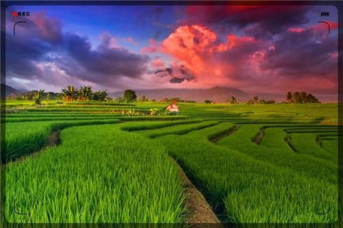 洗衣粉加盟办厂(洗衣粉加盟生产及销路)-第1张图片-