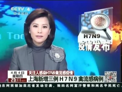 广东h7n9流感最新消息(河南h7n9流感最新消息)