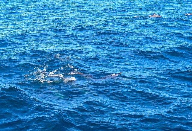 整个地球最大的岛屿(全球唯一可旋转)(5)