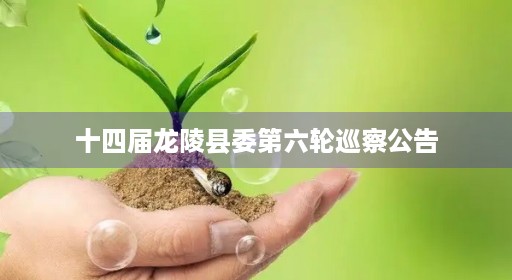 十四届龙陵县委第六轮巡察公告