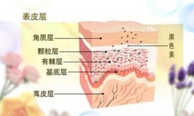 ​如何在两个月内全身快速美白知乎(一段时间家里东西都在坏)