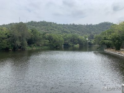 ​厦大情人谷的由来