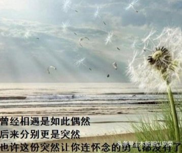 ​做个俗人，浪荡一生干净自由，从此清风陪浊酒，漫漫长路我一人走