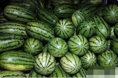 ​美都西瓜和8424的区别（美都西瓜与8424口感哪个好）