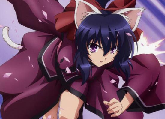 守护猫娘绯鞠第二季出了吗，有没有第2季?