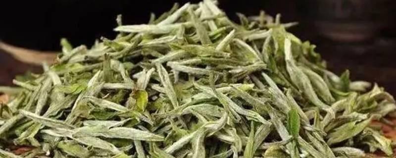 生活奇丹是什么茶 1