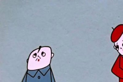 ​没头脑和不高兴的意思是什么