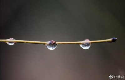 ​男人出轨在先，却不肯离婚，真实原因有三点