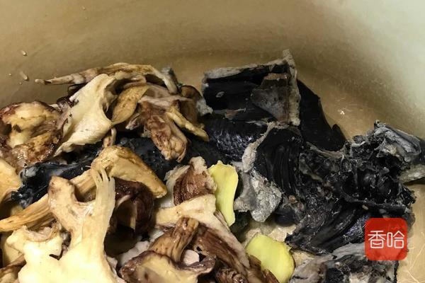 松茸最好吃的十种做法（它与松茸是绝配）(7)