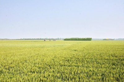 ​河南10个名气大的穷县，看看你的家乡上榜了没