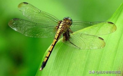 ​童年趣事（那些充满年代感的童年趣事）