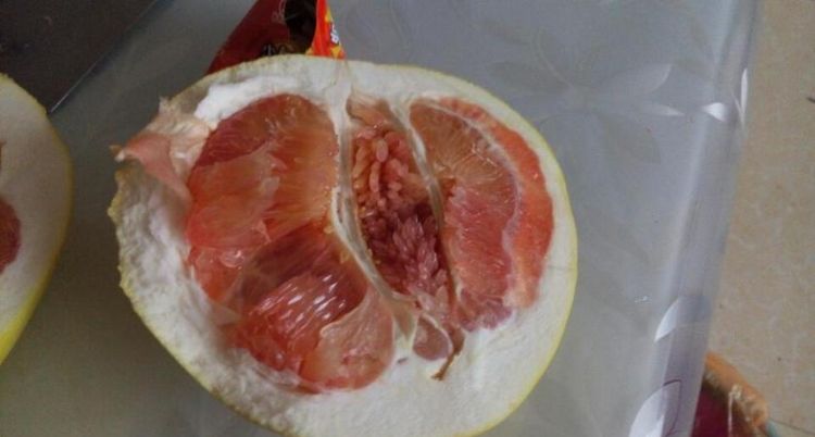 柚子里面有水是坏了吗