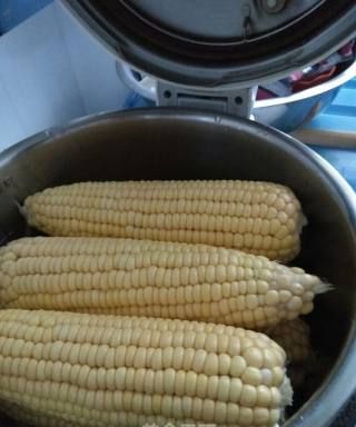 高压锅煮玉米多长时间能熟啊