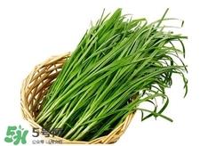 苦菊能和韭菜一起吃吗？苦菊可以和韭菜一起吃吗
