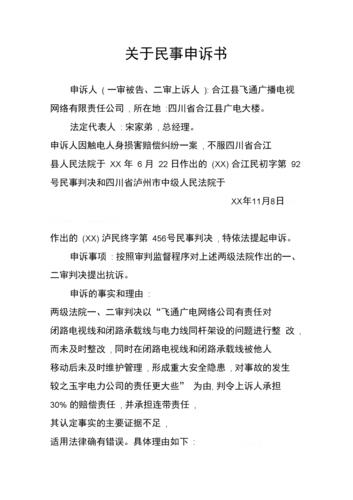 申诉状范本怎么写(申诉状的书写)