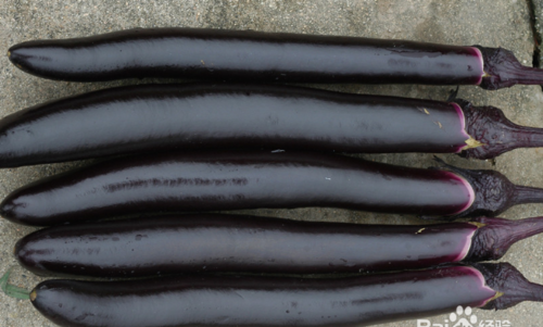 为什么蒸茄子要去皮