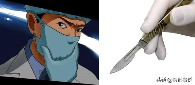 各手指解剖图及名称(白话解剖奇怪的手指)(1)