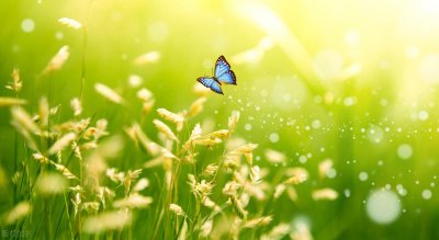 enable(SpringBoot中@Enablexxx注解详解)