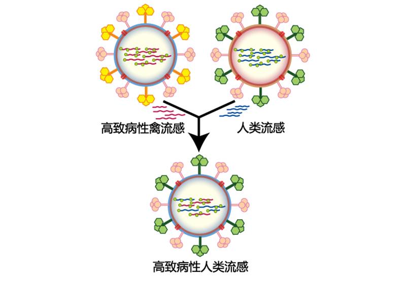 病毒存在34亿年（病毒存在多少亿年了）
