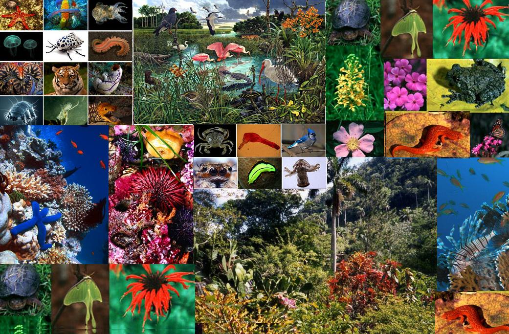 病毒存在34亿年（病毒存在多少亿年了）