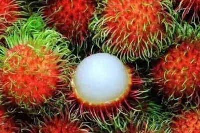 红毛丹对胃好吗 胃痛可以吃红毛丹吗