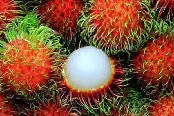 红毛丹对胃好吗 胃痛可以吃红毛丹吗 红毛丹对胃好吗 胃痛可以吃红毛丹吗