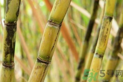 清明节可以吃甘蔗吗?清明节不能吃哪些食物?